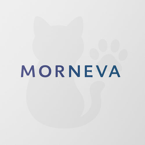 MORNEVA
